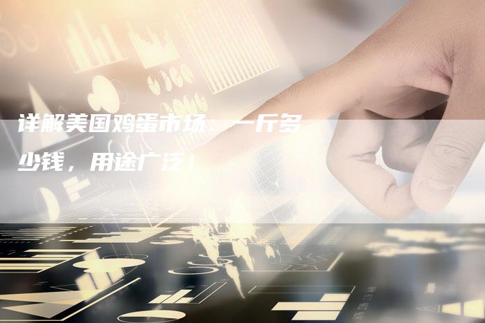 详解美国鸡蛋市场：一斤多少钱，用途广泛！