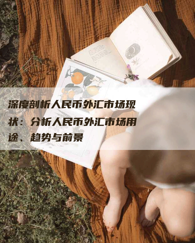 深度剖析人民币外汇市场现状：分析人民币外汇市场用途、趋势与前景