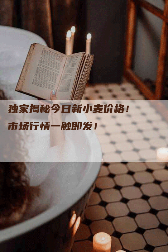独家揭秘今日新小麦价格！市场行情一触即发！