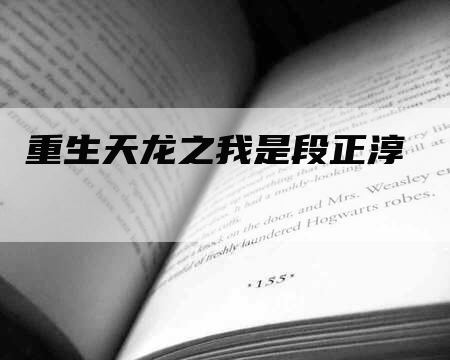 重生天龙之我是段正淳