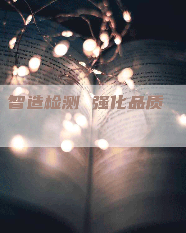 智造检测 强化品质