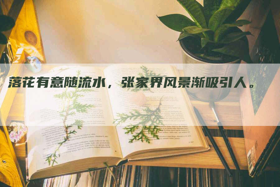 落花有意随流水，张家界风景渐吸引人。