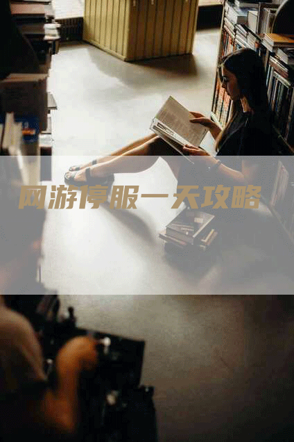 网游停服一天攻略