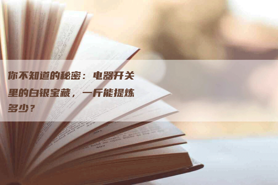 你不知道的秘密:电器开关里的白银宝藏,一斤能提炼多少?-Chatgpt信息网