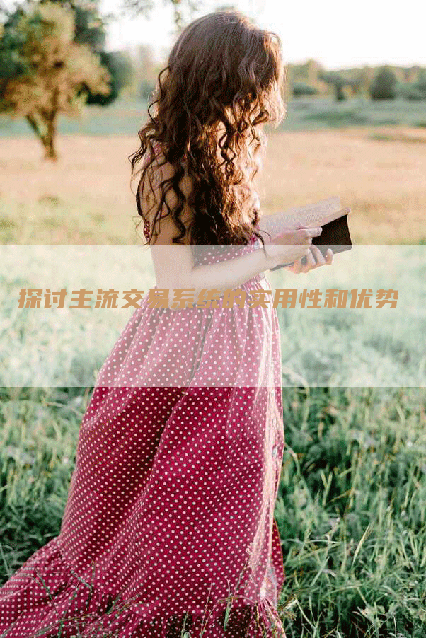 探讨主流交易系统的实用性和优势