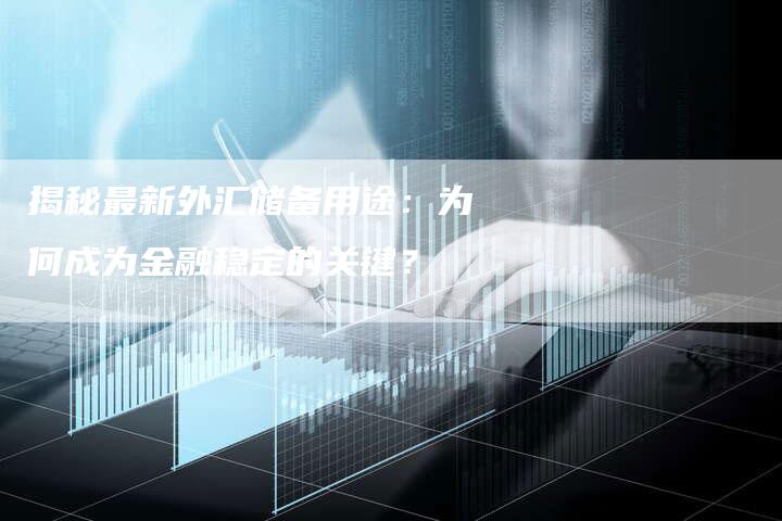 揭秘最新外汇储备用途：为何成为金融稳定的关键？