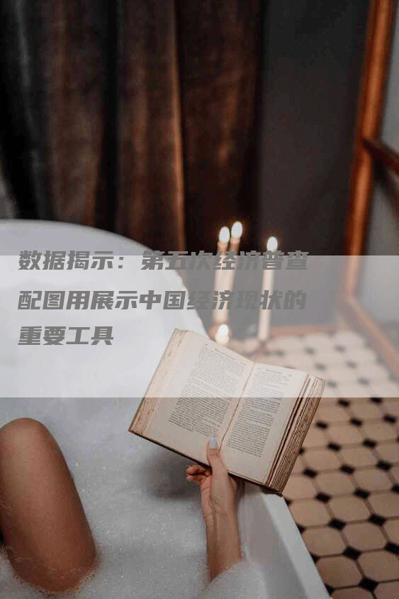 数据揭示：第五次经济普查配图用展示中国经济现状的重要工具