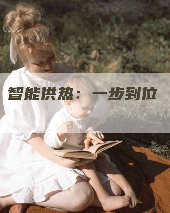 智能供热：一步到位