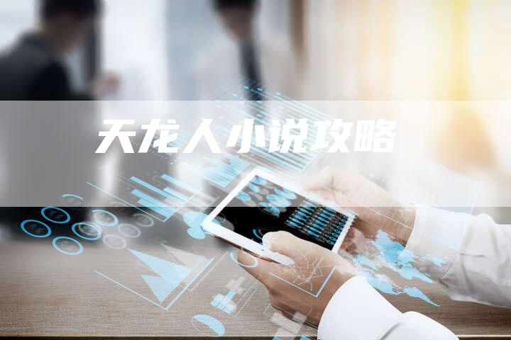 天龙人小说攻略