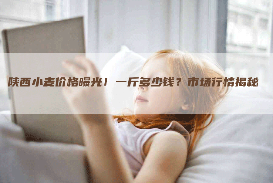陕西小麦价格曝光！一斤多少钱？市场行情揭秘