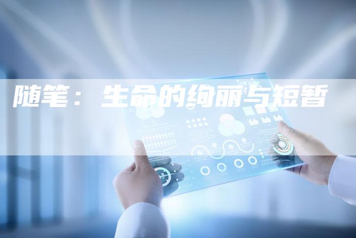 随笔:生命的绚丽与短暂-Chatgpt信息网