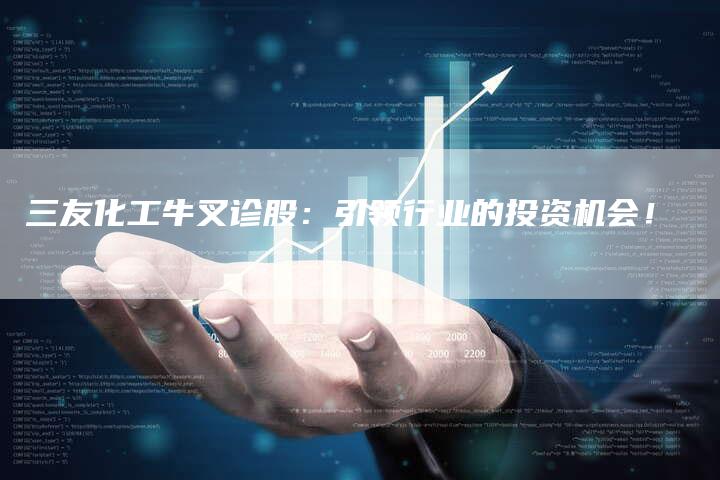 三友化工牛叉诊股：引领行业的投资机会！