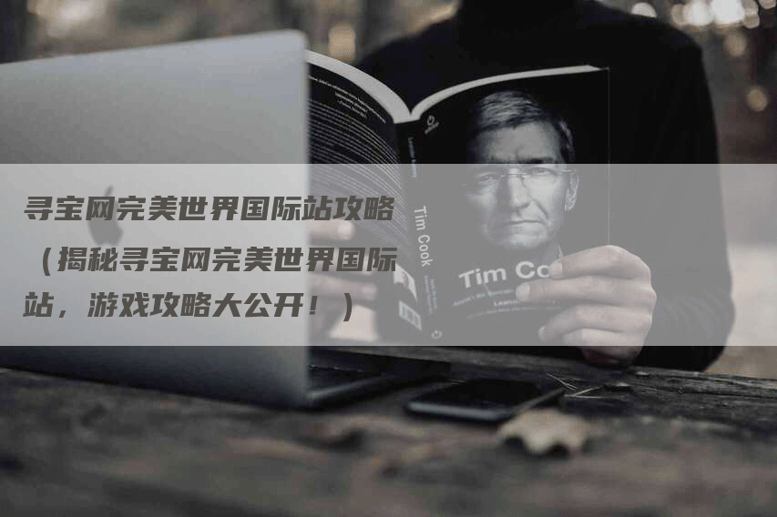 寻宝网完美世界国际站攻略（揭秘寻宝网完美世界国际站，游戏攻略大公开！）